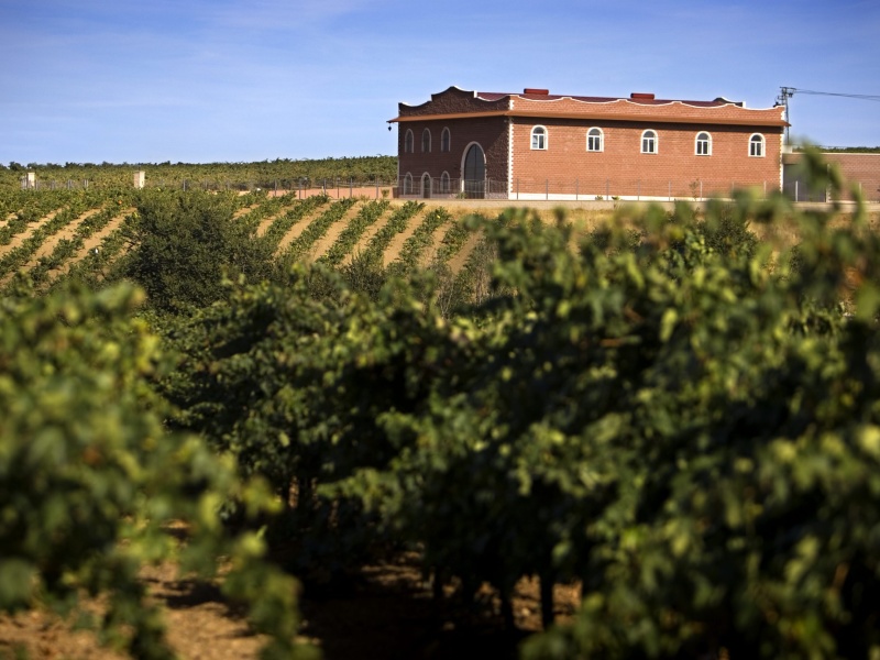 black-friday-ofertas-bodega-las-Encomiendas-1 black-friday-ofertas-bodega-las-Encomiendas-1