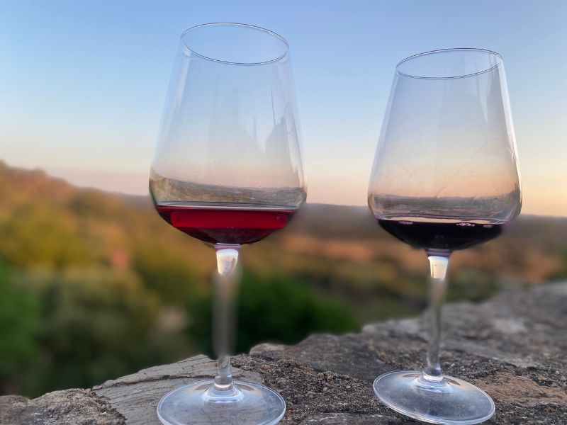 noche vino rocamador agosto noche vino rocamador agosto